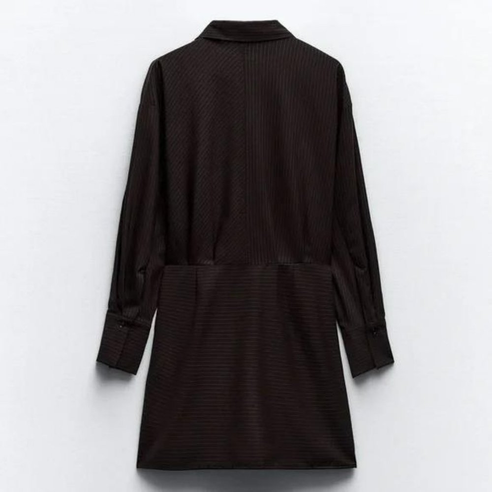 ZARA PINSTRIPE SHIRT DRESS - Picture 6 of 6